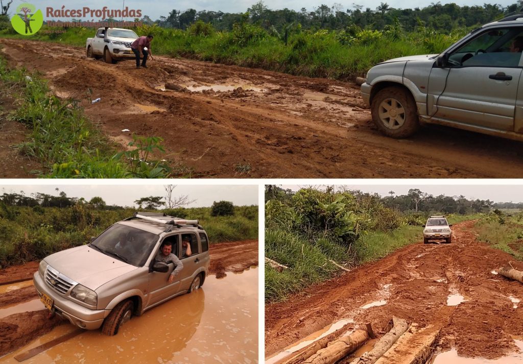 Semillas para la Escuela en la Vereda el Hobo en San Luis - Tolima y La Macarena - Meta.