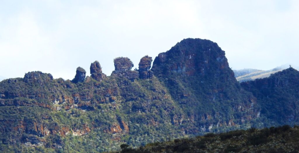 Raíces Profundas Turismo Ecológico y Cultural. Caminata Parque Nacional Natural Chingaza.