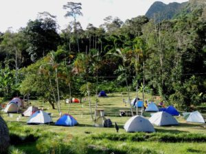 Campamentos Raíces Profundas Turismo Ecológico y Cultural.