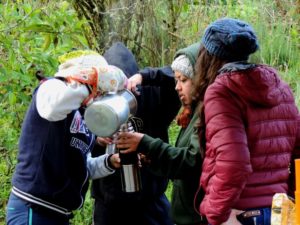 Campamentos Raíces Profundas Turismo Ecológico y Cultural.