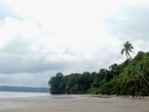 Excursión Encuentro con Ballenas y la Cultura del Pacífico Colombiano.