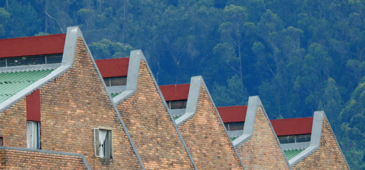 Raíces Profundas Turismo Ecológico y Cultural. Una Ventana a Salmona.