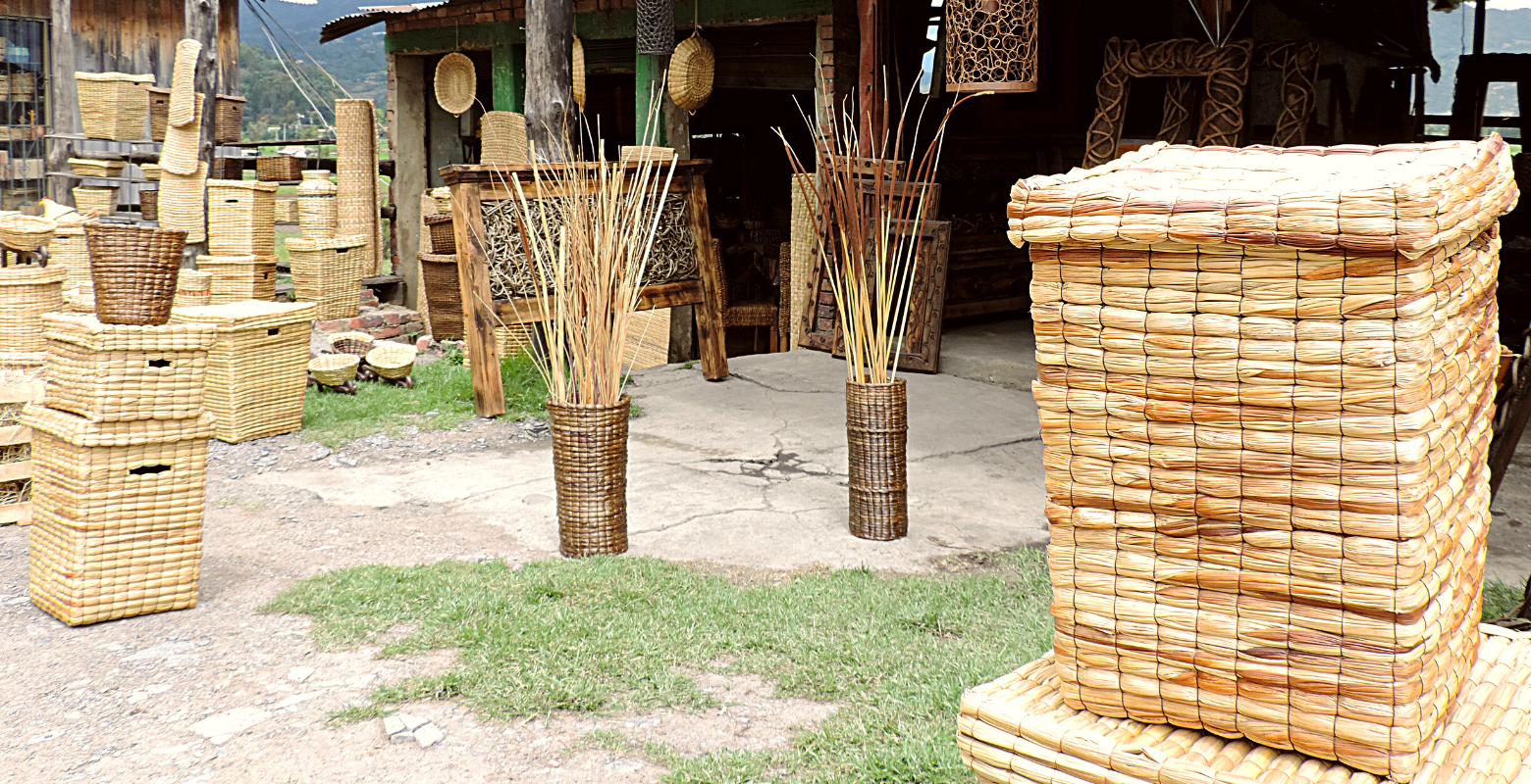 Raíces Profundas Turismo Ecológico y Cultural. Cestería en la Laguna de Fúquene.