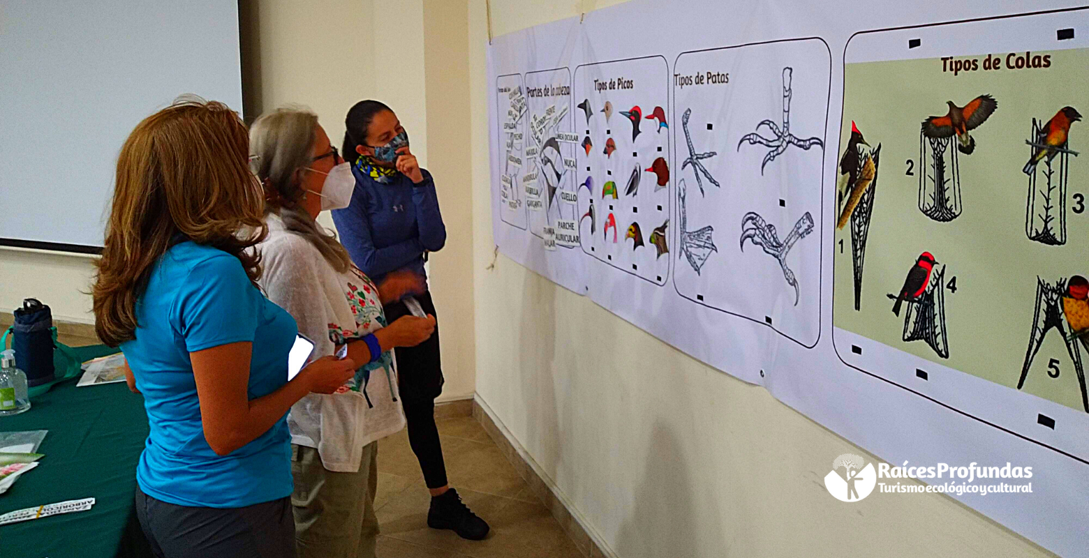 Raíces Profundas Turismo Ecológico y Cultural. El laboratorio de las Aves.