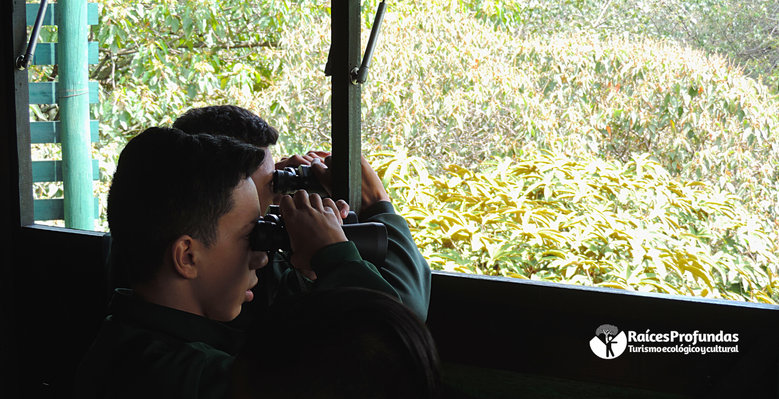 Raíces Profundas Turismo Ecológico y Cultural. El laboratorio de las Aves.