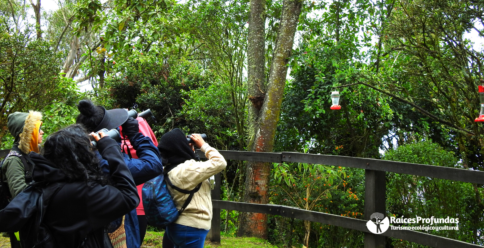 Raíces Profundas Turismo Ecológico y Cultural. Recorrido Interpretativo Relatos de Colibríes. 