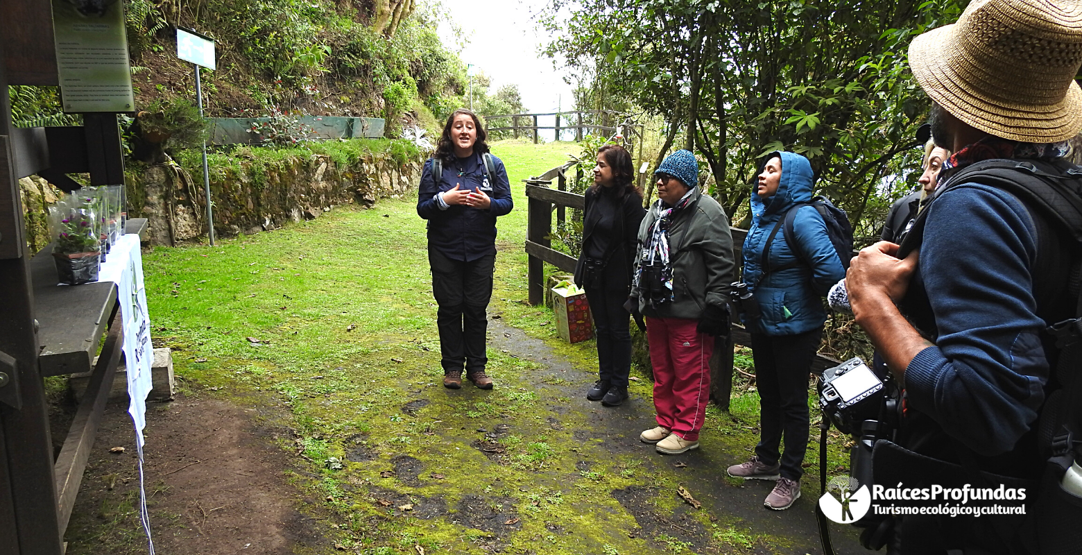 Raíces Profundas Turismo Ecológico y Cultural. El laboratorio de las Aves.