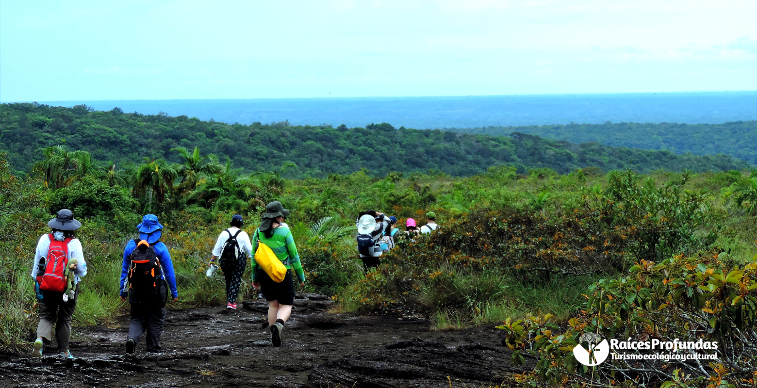 Raíces Profundas Turismo Ecológico y Cultural. Excursión Caño Cristales - Acuarelas de la Sierra de la Macarena. 