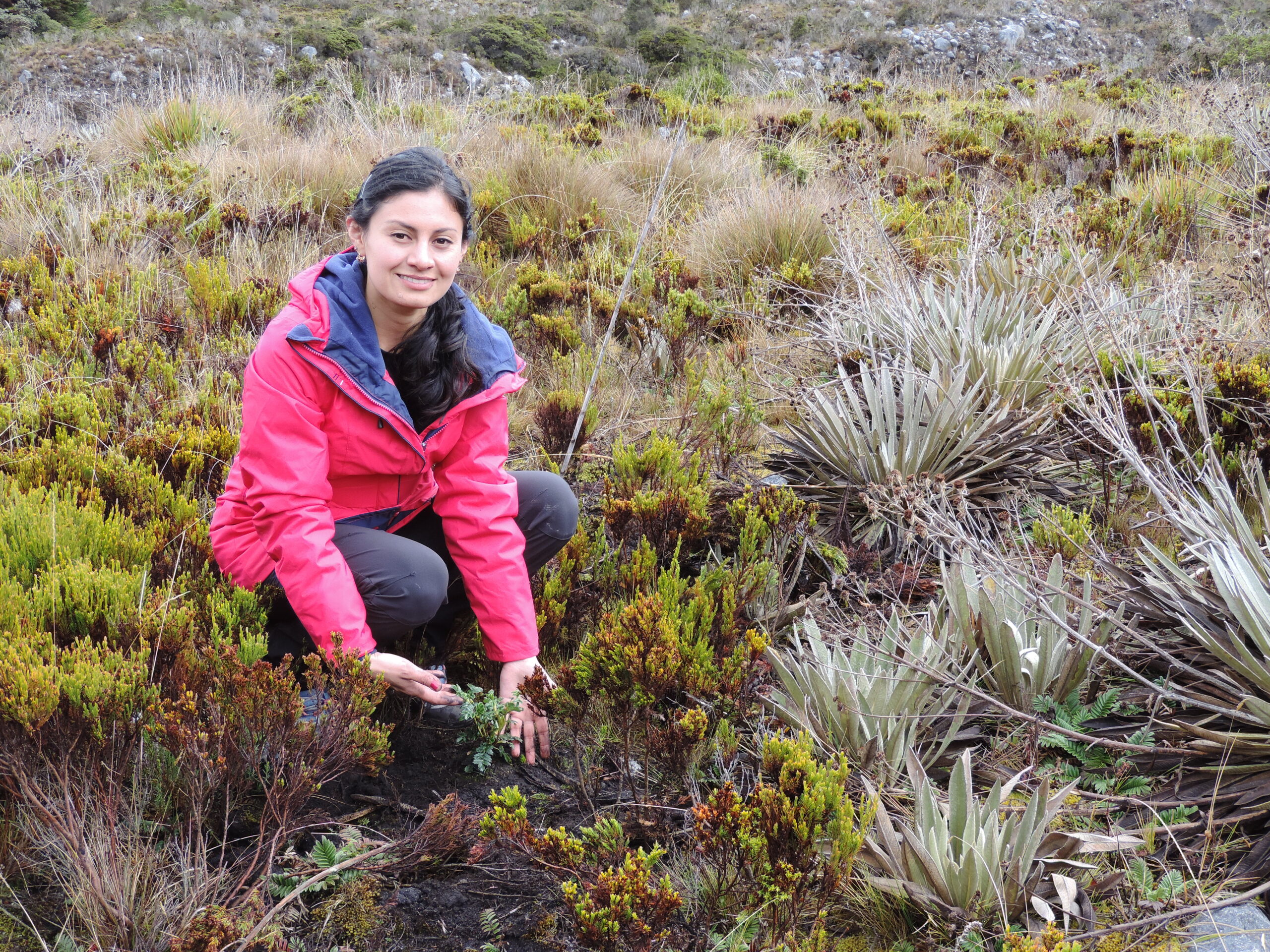 Raíces Profundas Turismo Ecológico y Cultural. Glaciares del Oriente Colombiano. Sandra Milena Torres Romero.