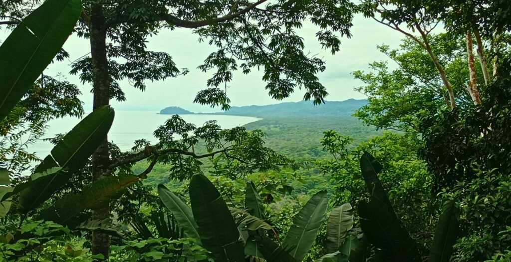 Raíces Profundas Turismo Ecológico y Cultural. Excursión El Viaje de la Tortuga Caná. Golfo de Urabá.