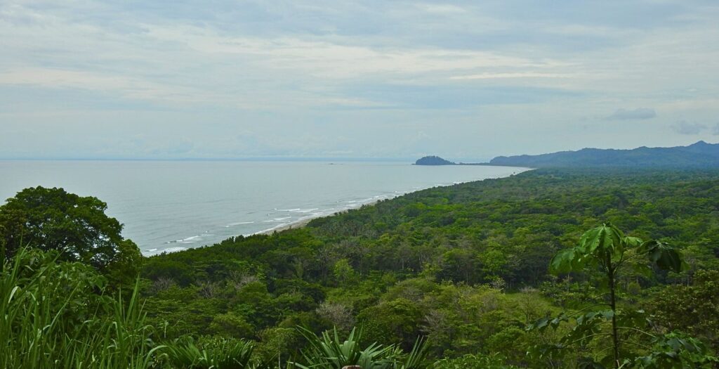 Raíces Profundas Turismo Ecológico y Cultural. Excursión El Viaje de la Tortuga Caná. Golfo de Urabá.