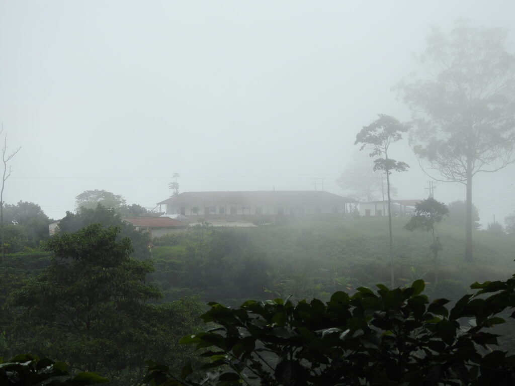 Semillas para la Escuela 2024. Municipio del Valle de San Juan – Bosque Andino.