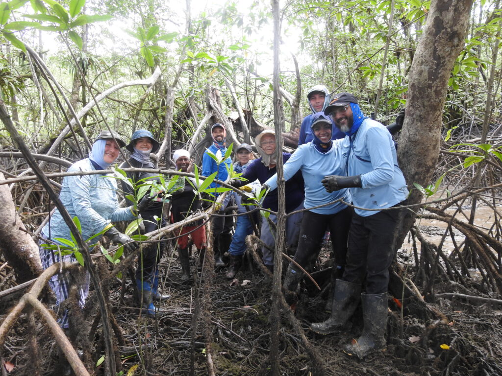 Raíces Profundas Turismo Ecológico y Cultural. Excursión Encuentro con Ballenas y la Cultura del Pacífico Colombiano.