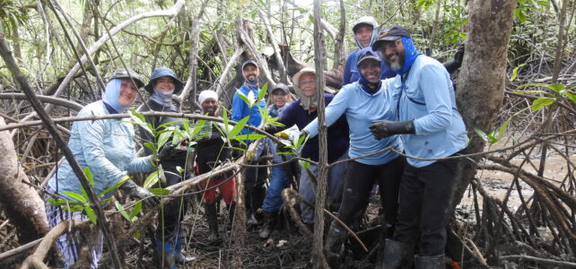 Raíces Profundas Turismo Ecológico y Cultural. Excursión Encuentro con Ballenas y la Cultura del Pacífico Colombiano.