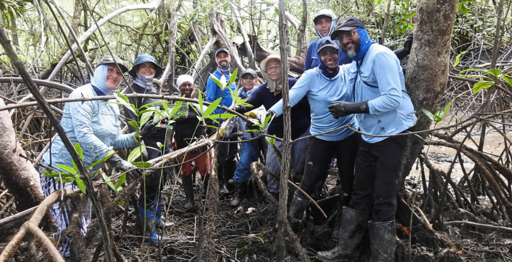 Raíces Profundas Turismo Ecológico y Cultural. Actividad ancestral de Recolección de la Piangua. Excursión Encuentro con Ballenas y la Cultura del Pacifico Vallecaucano.
