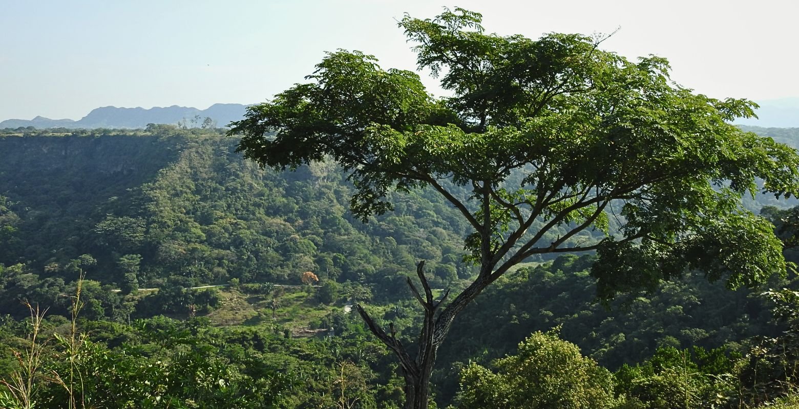 Panoramic view of the Tropical Dry Forest landscape at Finca El Mirador in Payandé, Tolima