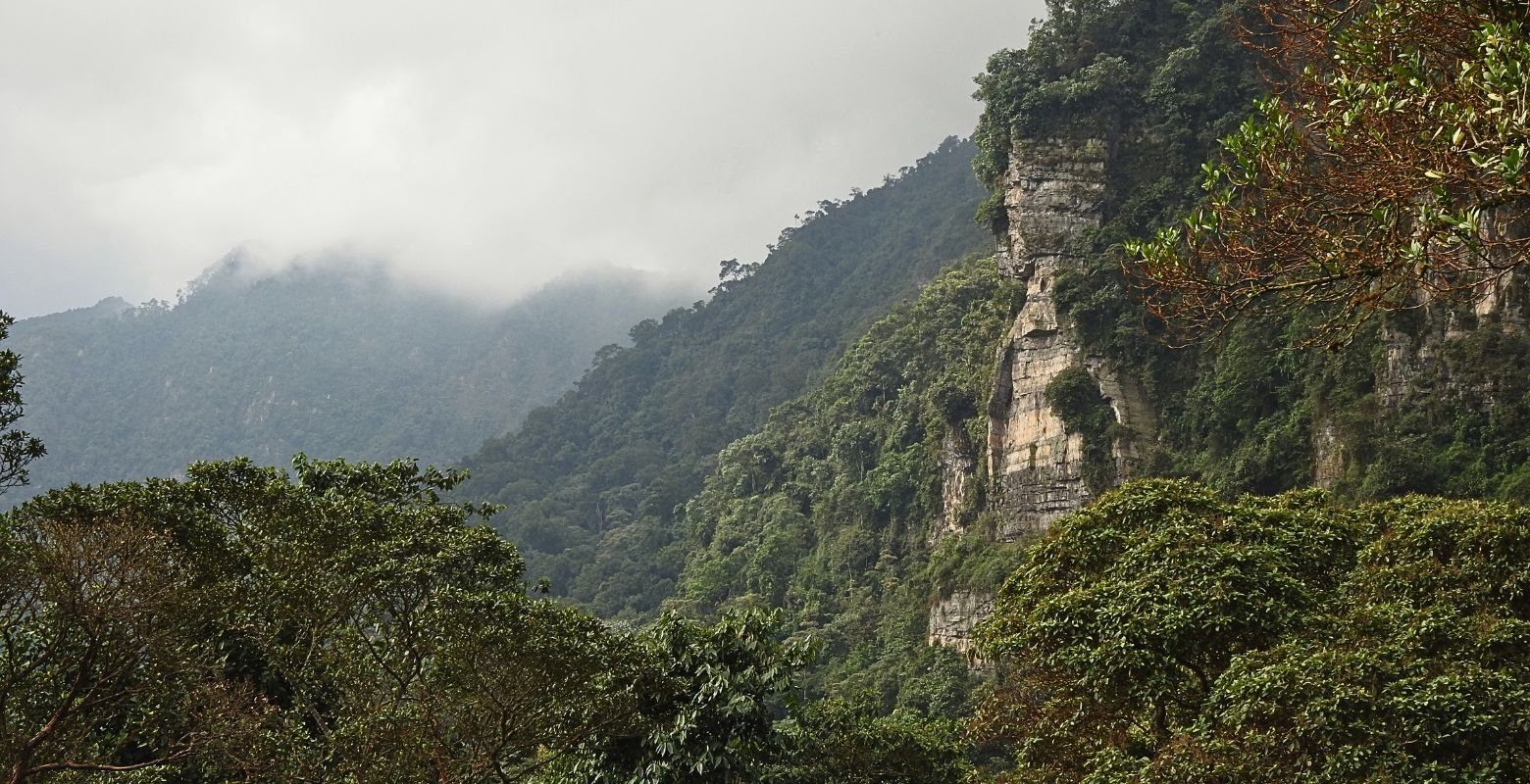 Misty Andean cloud forest landscape in Chicaque Natural Park near Bogotá, a habitat for birdwatching in Colombia