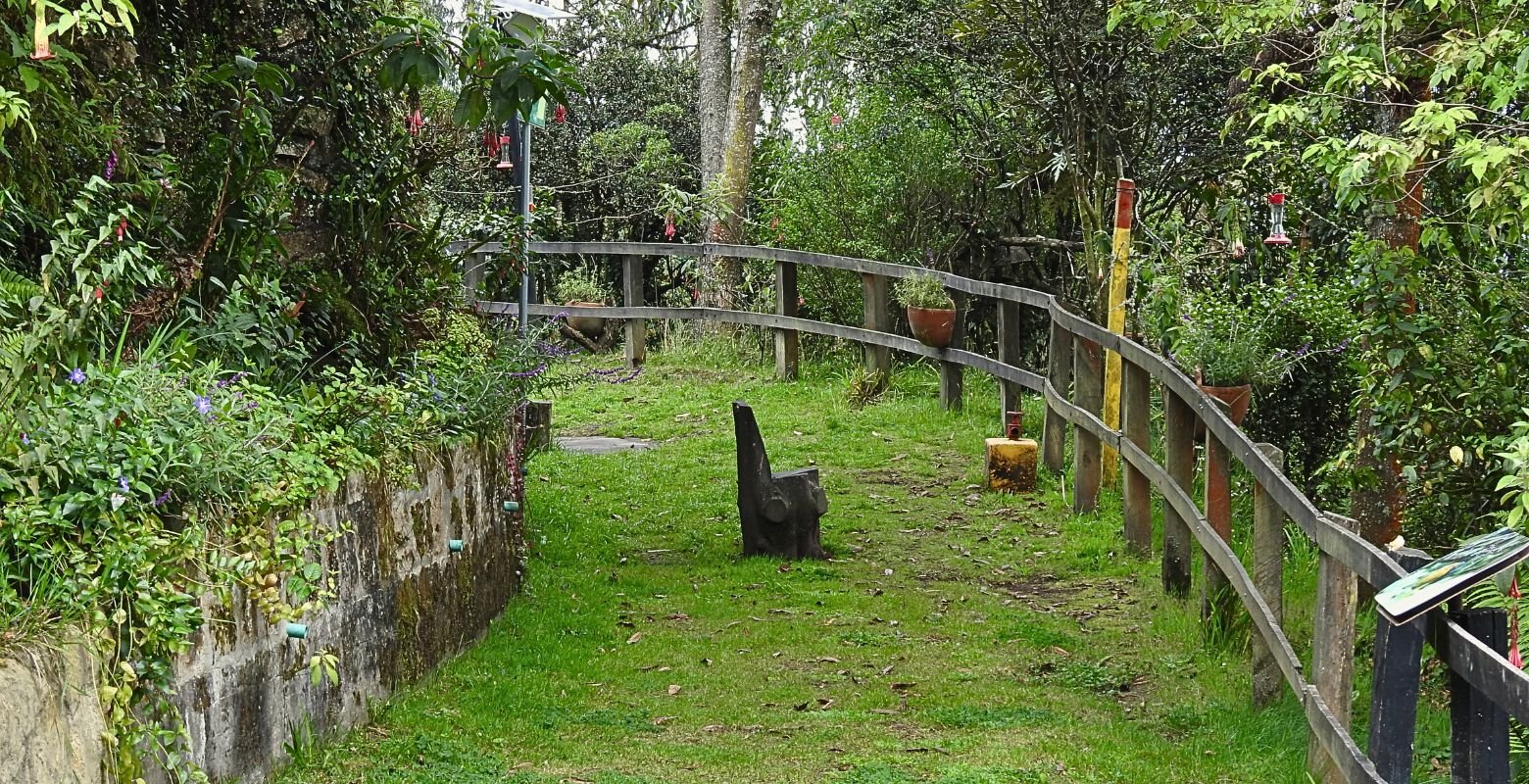 Sendero Paramuno entre la vegetación altoandina de Monserrate, con comederos para colibríes.
