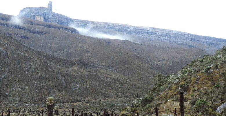 cocuy-07